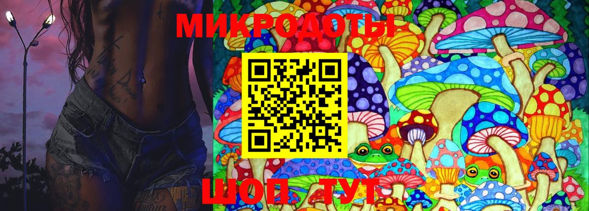 Галлюциногенные грибы Cubensis Балаково
