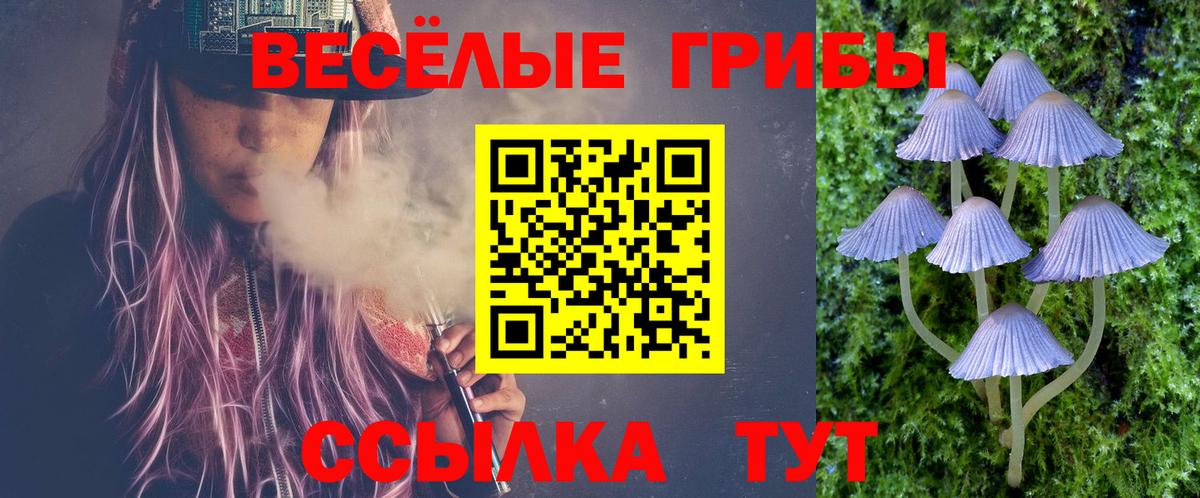 Балаково  купить наркотик  Вход с VPN  Псилоцибиновые грибы Psilocybine cubensis  Галлюциногенные грибы Psilocybe 